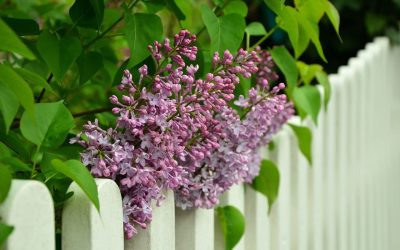 10 Tips to Plan a Fence: A Homeowner’s Guide
