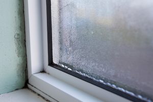 how to prevent mold growth